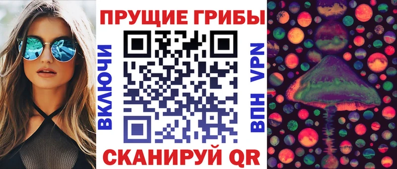 что такое   Орск  Галлюциногенные грибы Psilocybe 