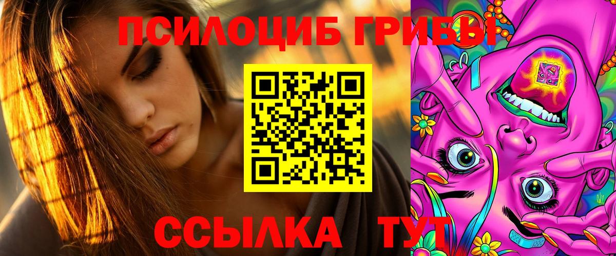 Псилоцибиновые грибы мухоморы  купить наркотик  Орск  Вход с VPN 